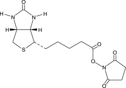 A compound used to attach biotin to primary amines