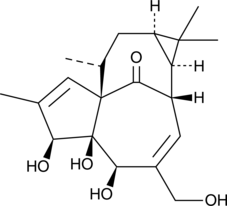 A diterpenoid related to phorbol that activates PKC (Ki = 30 μM; ED50 = 27 μM) and promotes tumor formation