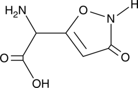 A neuroexcitatory amino acid that functions as a NMDA and metabotropic glutamate receptor agonist; used to induce brain lesions in animal models of cognitive dysfunction