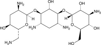 An aminoglycoside antibiotic that shows potent activity against a broad spectrum of bacteria