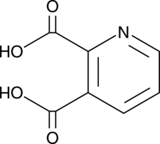 An endogenous agonist at NMDA receptors generated through the metabolism of tryptophan in the kynurenine pathway; generates reactive oxygen species