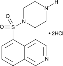 An inhibitor of PKA