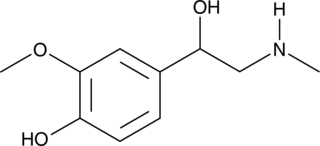 A metabolite of epinephrine produced by the action of catechol-O-methyl transferase on epinephrine; detection is used in the clinical diagnosis of pheochromocytoma