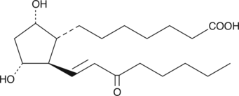 15-keto PGF1α is the initial metabolite of PGF1α via 15-hydroxy PGDH. In mammals