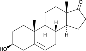 An endogenous steroid hormone that is secreted primarily by the adrenal gland and is the most abundant sex steroid; serves as an intermediate in the biosynthesis of sex steroids and directly modulates a number of cellular and nuclear receptors