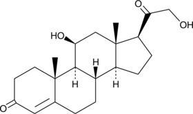 A steroid hormone produced in the cortex of the adrenal glands that binds to both glucocorticoid and mineralocorticoid receptors; also is the precursor to aldosterone synthesis