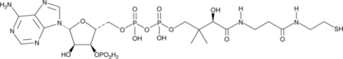 An essential cofactor functioning as an acyl group carrier and carbonyl-activating group for the citric acid cycle and fatty acid metabolism; the pantothenate kinase step of the coenzyme A biosynthetic pathway has been identified as a target for the development of antibacterial compounds