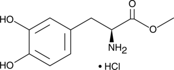 A metabolic precursor of dopamine that crosses the blood brain barrier; used to treat Parkinson’s disease and stroke damage