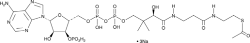 A pivotal molecule in the Krebs cycle