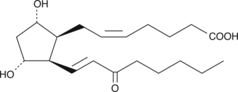 8-iso-15-keto PGF2α is a metabolite of the isoprostane 8-iso PGF2α in rabbits