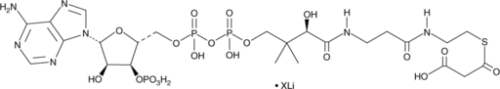 A CoA derivative used in fatty acid and polyketide synthesis and in the transport of α-ketoglutarate across the mitochondrial membrane; may mediate cancer cell cytotoxicity induced by fatty acid synthase inhibition