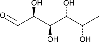 A deoxyhexose monosaccharide found on N- and O-linked glycans and glycolipids that exists either as a terminal modification of glycan structures or serves as a point of attachment for adding other sugars; plays a role in A and B blood group antigen substructure determination