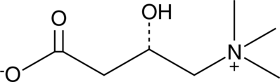 An analog of L-carnitine that