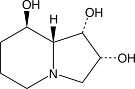 An indolizidine alkaloid naturally found in certain plants that inhibits N-linked glycoside hydrolases