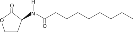 A small diffusible signaling molecule produced by wild-type E. carotovora strain SCC 3193 involved in quorum sensing