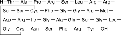 A renal natriuretic peptide that regulates sodium and water reabsorption in the kidney; has pharmacological effects on renal