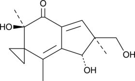 A cytotoxic illudin that is converted