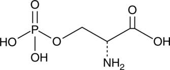 A phosphorylated form of D-serine