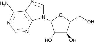 An analog of the nucleoside adenosine that has antiviral properties; acts as a prodrug that