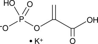 An enzyme substrate for glycolysis and gluconeogenesis pathways; metabolized to pyruvate by pyruvate kinase during glycolysis; formed from phosphoenolpyruvate carboxykinase-catalyzed oxaloacetate decarboxylation during gluconeogenesis