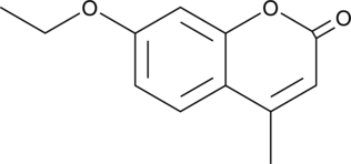 A fluorophore used to monitor functional activity of CYP1A1