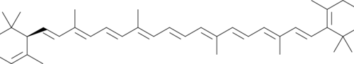 A precursor of vitamin A; inhibits proliferation of GOTO human neuroblastoma cells more potently than β-carotene; halts the cell cycle at the G0/G1 phase and reduces mRNA expression of the protooncogene N-Myc; decreases the number of hepatomas in mice with spontaneous liver carcinogenesis (0.05% in drinking water)