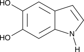 An intermediate in melanogenesis