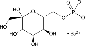 An intermediate in the pentose phosphate pathway