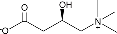 An essential metabolite with diverse roles in metabolism; facilitates transport of long-chain fatty acids into the mitochondrial matrix for β-oxidation