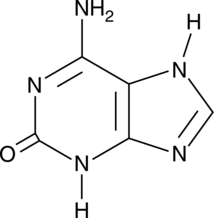 An isomer of guanine; found naturally but also formed through oxidative damage to DNA; mutagenic in mammalian and bacterial cells in vitro