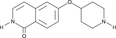 An ATP-competitive inhibitor of ROCK-I and ROCK-II (IC50s = 102 and 276 nM