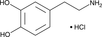 An endogenous catecholamine neurotransmitter synthesized from L-tyrosine; agonist at D1-5 receptors; synthesized in the substantia nigra and ventral tegmental area; a precursor in norepinephrine and epinephrine biosynthesis; functions as a hormone in the adrenal medulla to regulate heart rate and blood pressure