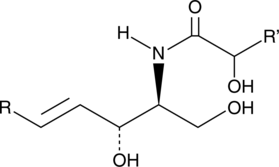 A mixture of ceramides; consists of hydroxy and non-hydroxy fatty acid-containing ceramides