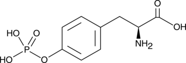 A phosphorylated form of L-tyrosine; used in studies of tyrosine phosphorylation; has been used in affinity chromatography to purify IgG