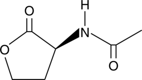 A C2 N-acyl homoserine lactone; does not induce carbapenem antibiotic biosynthesis in E. carotovora; does not induce fluorescence in E. coli containing a reporter plasmid of GFP in response to exogenous AHLs