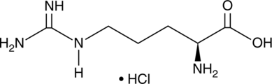 An amino acid and precursor of NO; a substrate for NO synthase; enhances NO release in porcine aortic endothelial cells; induces vasodilation