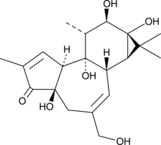 A starting material in the semisynthesis of phorbol diesters