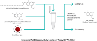 Cayman's LAL Activity MaxSpec® Assay Kit includes the necessary reagents to quantify lysosomal acid lipase (LAL) activity in dried blood spots. The LAL Activity MaxSpec® Assay Substrate (P-PMHC) has been designed to function as a highly selective substrate for LAL