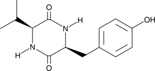 A diketopiperazine fungal metabolite