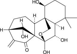 A diterpenoid with anti-inflammatory and anticancer properties; an inhibitor of AKT1 and AKT2 (IC50s = 8.4 and 8.9 µM