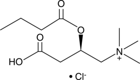 A butyrate ester of carnitine; blocks carnitine uptake by the carnitine transporter and glycine transport by the amino acid transporter in HRPE cells (IC50s = 1.5 µM and 4.6 mM