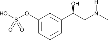 A metabolite of phenylephrine