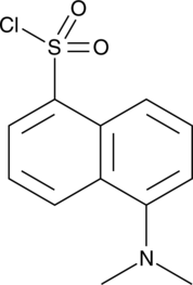 A reactive probe for derivatization of primary amines