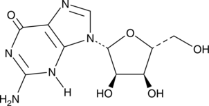 A purine nucleoside; GMP