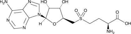 A radical SAM enzyme substrate; reductively cleaved to 5'-deoxyadenosine and 5'-thioadenosine sulfinic acid by NosL or NosN