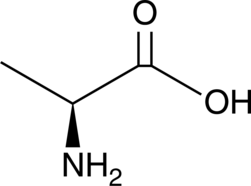 A non-essential amino acid; produced by direct β-decarboxylation of L-aspartate by L-aspartate β-decarboxylase or transamination of pyruvate in the glucose-alanine cycle; a precursor for gluconeogenesis; dysregulation of its metabolism is associated with various disease states