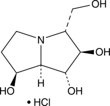 A pyrrolizidine alkaloid; an inhibitor of glucoamylase (IC50 = 5.8 µM); that also inhibits glucosidase I