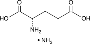 An excitatory neurotransmitter; acts on ionotropic receptors and metabotropic receptors to induce excitatory synaptic transmission and has roles in synaptic plasticity; excessive release induces excitotoxicity that is associated with various human diseases; excessive release of the protonated glutamate form occurs during seizure activity and contributes to epileptogenesis and seizure-induced brain damage