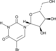 A brominated uridine analog; can be incorporated into RNA and subsequently detected by antibodies against bromodeoxyuridine; decreases the viability of HL-60 and MOLT-4 cells (LC50s = 10 and 20 μM