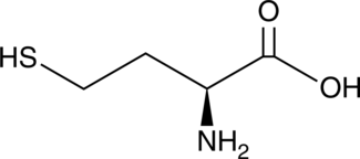 A thiol-containing amino acid; elevated levels lead to HHcy